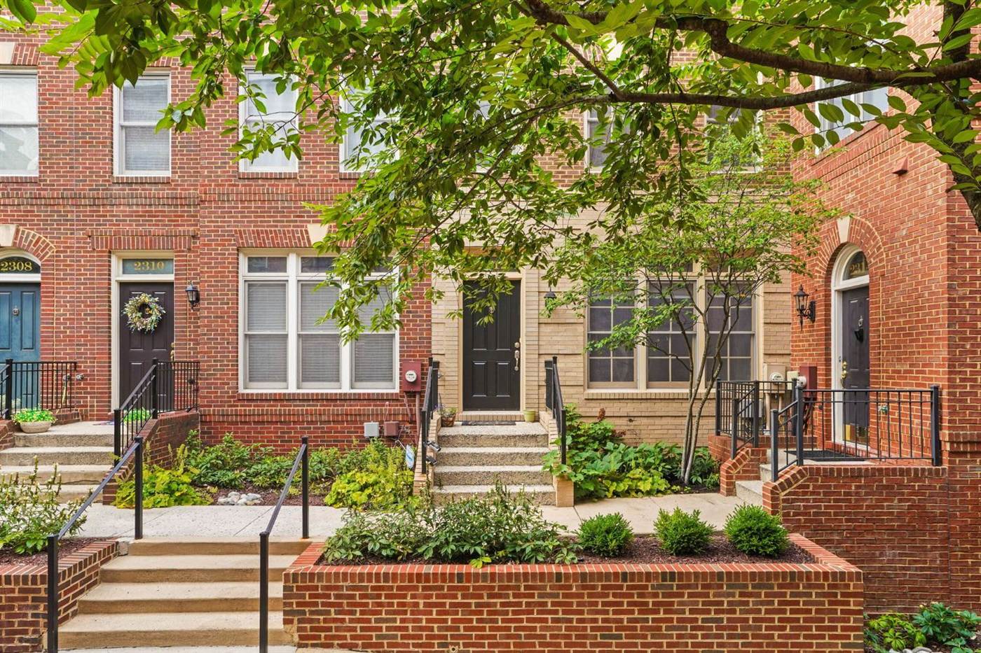 Brick townhouses shaded by a tree